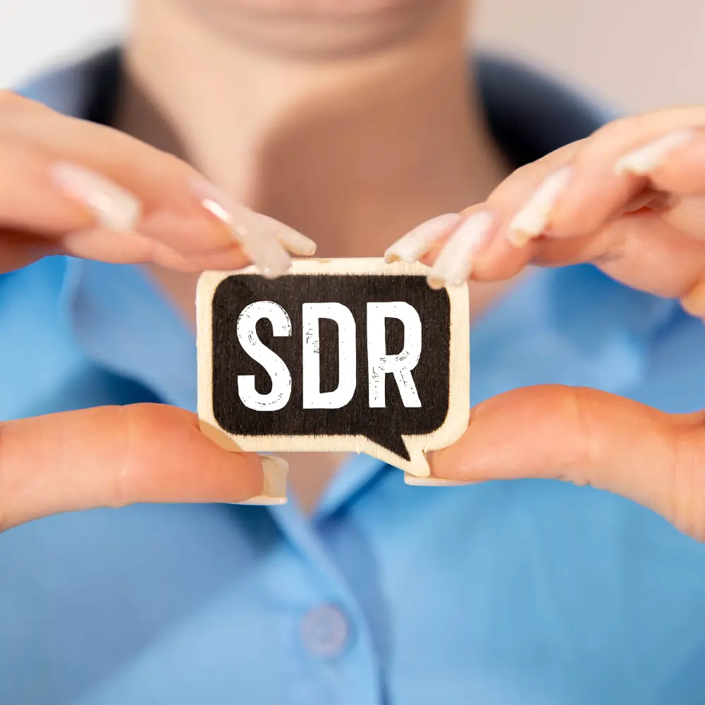 SDR as a service vs. In-house SDR team: Which sales development model drives better growth? VLMS Global
